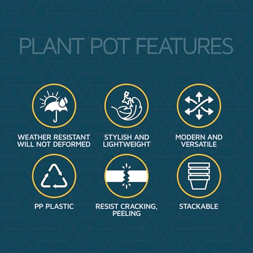 Terracotta 6 Inch Plant Pots with Drainage & Saucers 24 Pack (Terracotta / Pack of 24)