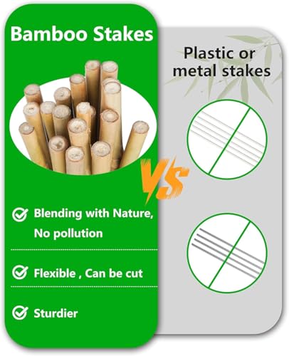 Natural Bamboo Plant stake2FT 50Pcs (2ft-50pcs)