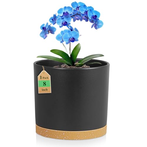 8 Inch Cylinder Plant Pots for Indoor Outdoor Plants