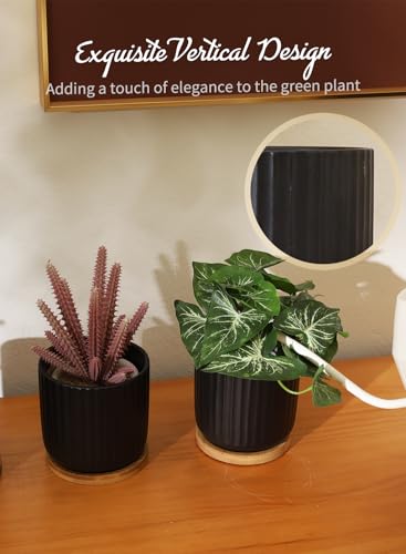 4 Inch Small Plant Pots Indoor (4 Count)
