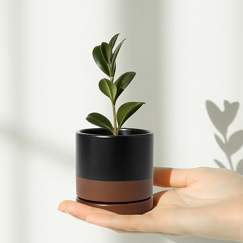 2 Pack Ceramic Pots with Saucers