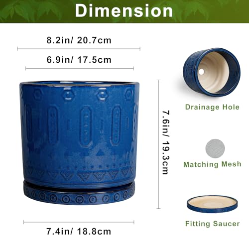 8 Inch Planter (8 Inch / Blue - 2)