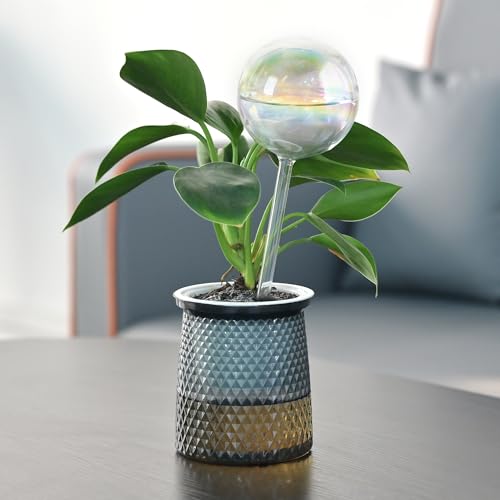 Glass Self Watering Globes (4 Count)