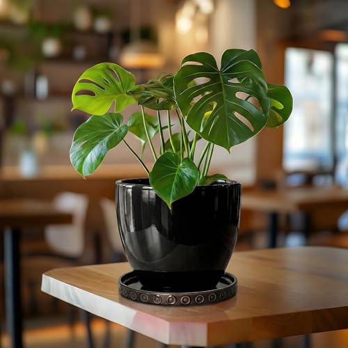 Ceramic Plant Saucer 7.5 Inch (7.5 Inch / Black)