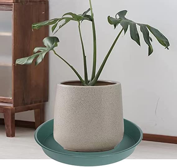 2 Pack of 10 inch Plant Saucer Gray (10" (2 pack) / Green)