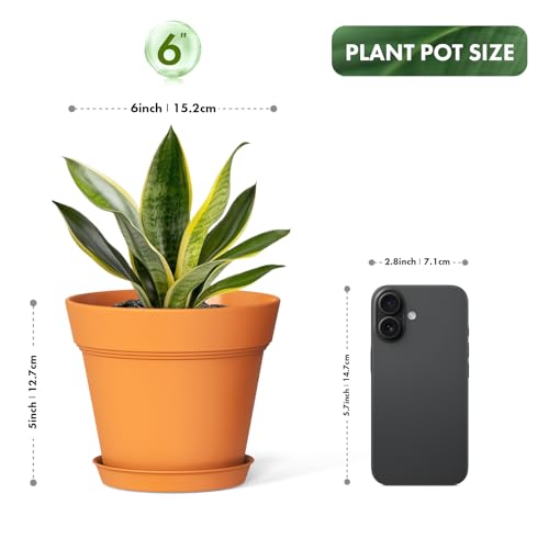 6 Inch Thick Plastic Plant Pots with Drainage Holes and Trays (6 Count)