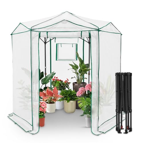 6.6x6.6 Easy Setup Pop Up Greenhouse (Clear/White / 6.6x6.6)
