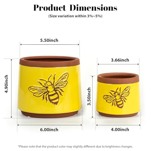 YBX Terracotta Pots Inch with Drainage Holes (6+4 Inch / Yellow)