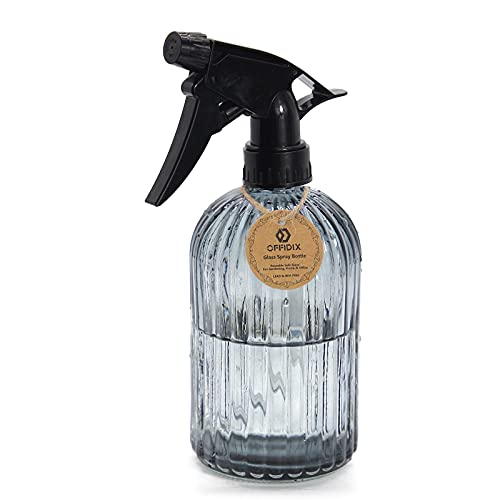 Glass Spray Bottle