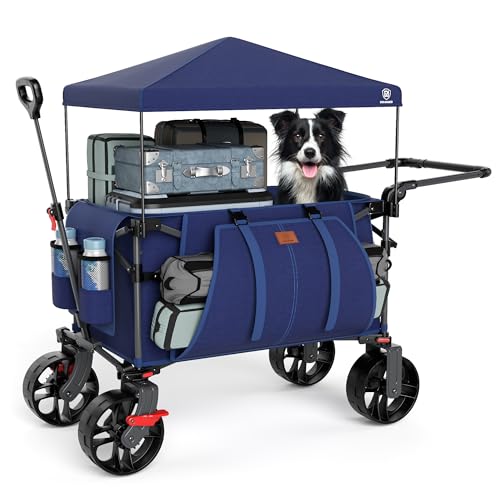 Folding Push Wagon with Canopy (Navy / Light Blue)