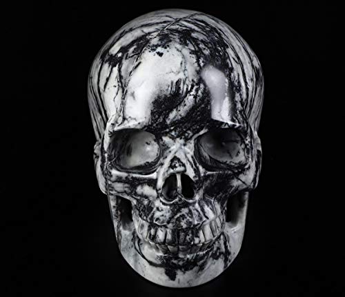 5.0" Black Picasso Crystal Skull (5.0 Inches Black Picasso Jasper)