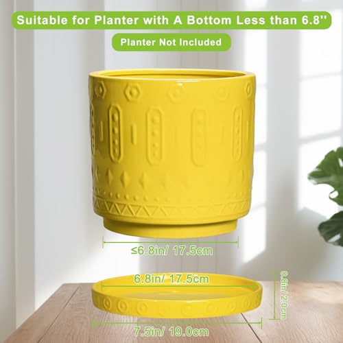 Ceramic Plant Saucer (7.5 Inch / Yellow)