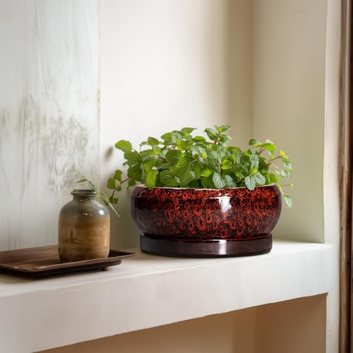 Bonsai Pots 8 Inch Ceramic Succulent Planters for Indoor Outdoor (8 Inch / Leopard Red)