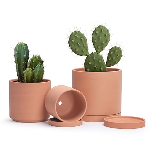 3 Pack Classic Terracotta Pots & Saucers (5+6+8 Inch / Terracotta)