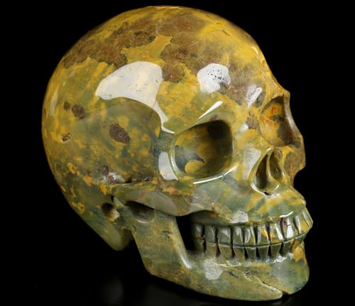 5.0” Ocean Jasper Crystal Skull (5.0 Inches Ocean Jasper 9)