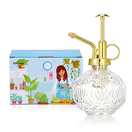 Glass Plant Mister Water Spray Bottle (Clear+Gold A)