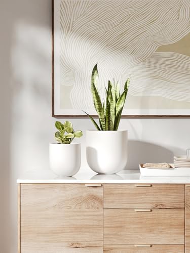 6 Inch Ceramic Plant Pot (White / 6 Inch)