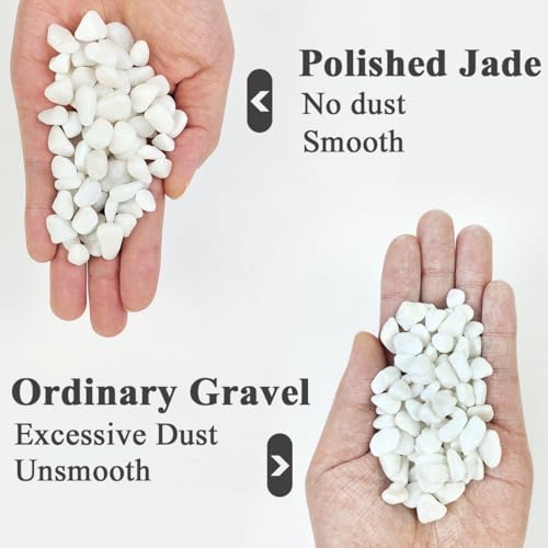 10LB Succulent and Cactus Gravel Pebbles