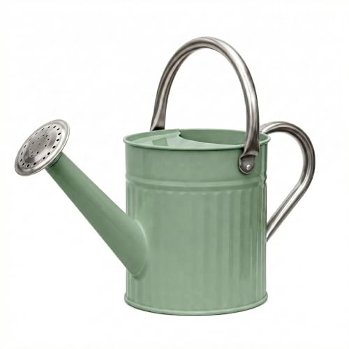 Metal Watering Can for Indoor Outdoor Plant 1 (Creamy Green)