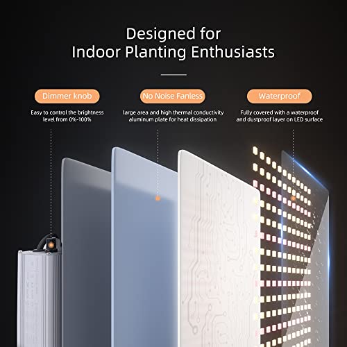 LED Grow Lights for Indoor Plants