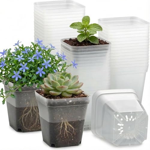 60 Pcs Clear Square Nursery Pots 4 Inch (Clear / 4Inch)