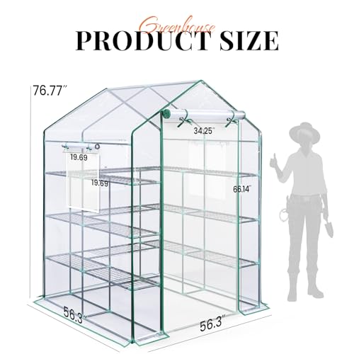 Premium Greenhouse for Outdoors (Clear / 56x56x78")