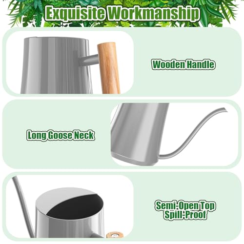 1L 35oz Metal Watering Can Indoor with Long Spout (Gray)
