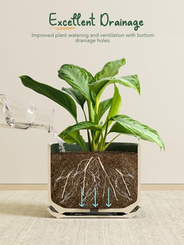 Ceramic Plant Pots (Forest Green / 8"+10")