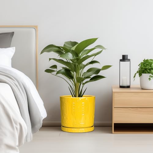 Ceramic Pots for Plants (10 Inch / Yellow)