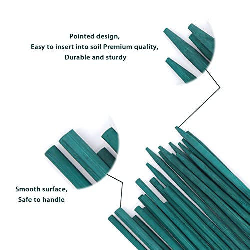 Green Bamboo Plant Stakes (25 Count)