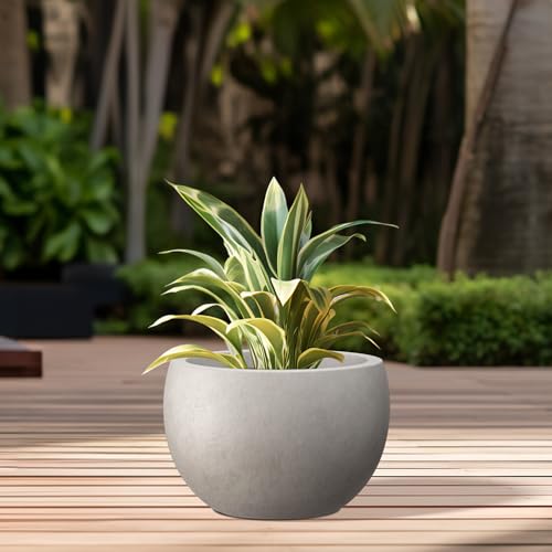 Accent Round Bowl Weathered Concrete Planter 14.8" Dia (Weathered Concrete / 15.7" d)