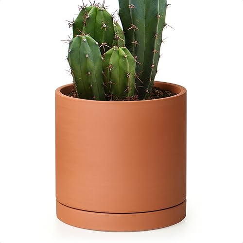 Terracotta Plant Pot with Saucer