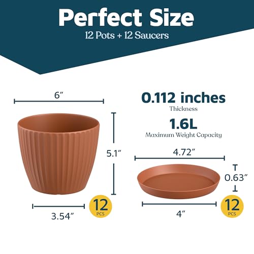 Terracotta 6 Inch Plant Pots with Drainage & Saucers 12 Pack (Terracotta / Pack of 12)