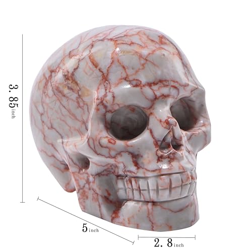 5''Natural Red Grid Crystal Skull Head Hand Carved Reiki Healing Stone Statue Healing Home Office Art Room Decoration (Red Grid Stone / 5inch)