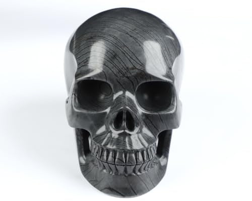 5.0" Black Picasso Jasper Crystal Skull (Skullis 5.0" Black Picasso Jasper 50)