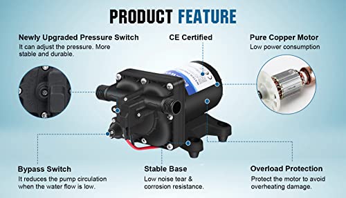 42 Series 12V RV Water Pump with Pressure Switch