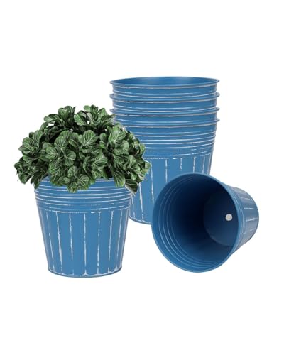 5 Inch Galvanized Bucket Planters (Steel Blue / 5 inch)