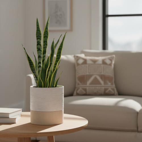Ceramic Self Watering Plant Pot for Indoor Plants