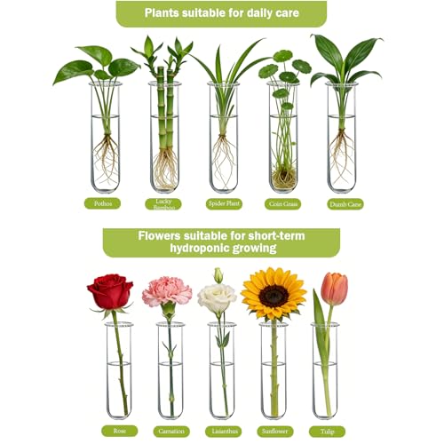 Wall Hanging Propagation Station with Wooden Stand Glass Test Tubes Tiered Planters Wall Terrarium for Home Office Plant Hanger Flower Vases Wall Decor Hydroponic Cuttings