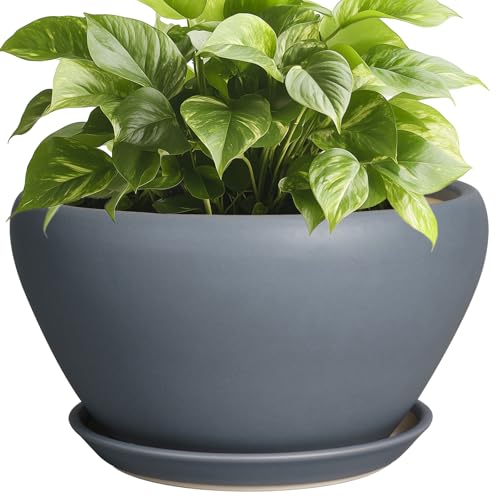 Ceramic Pots for Plants