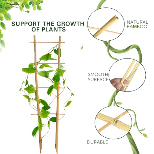 Bamboo Trellis 10 Pack (16in Ladder Shaped, Pack of 10)