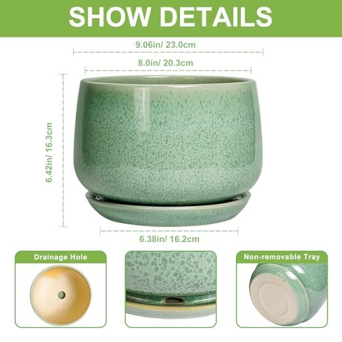 Ceramic Planter