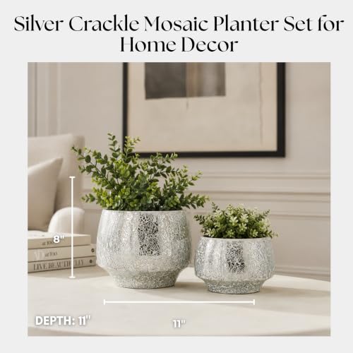 Flower Pots and Planters for Home Decor (2 Count)