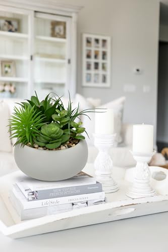 Succulents Plants Artificial in Pots Fake Succulents for Outdoors Indoor Faux Succulent Arrangement Potted Plant in Cement Planter Bowl for Garden Office Desk Shelf Living Room Home Decor (Cement Grey)