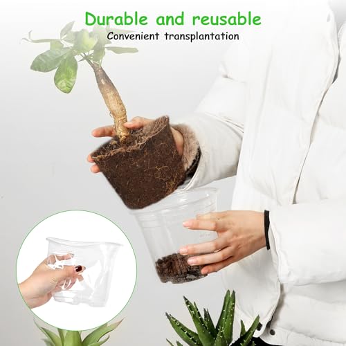60 Pack 6 Inch Clear Nursery Pots with Drainage Hole (6 Inch)