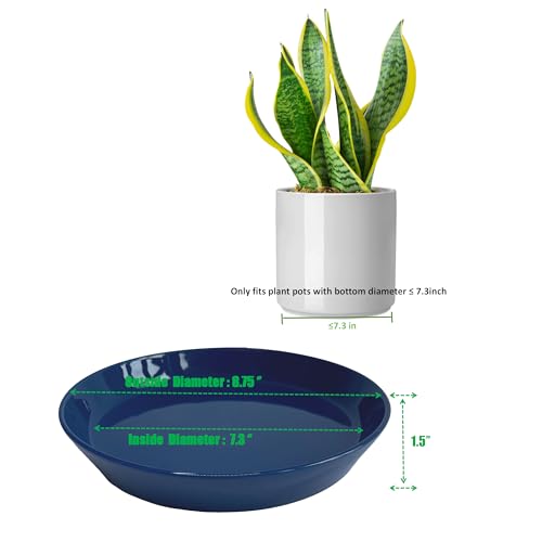 Plant Saucer 8 Inch (2 Count)