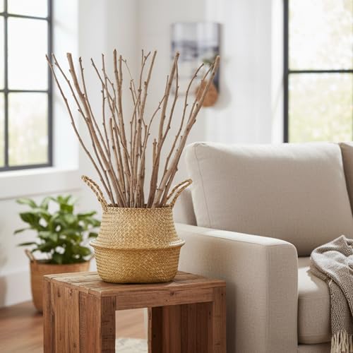 4 Pcs Woven Seagrass Baskets Belly Basket (XS,S,M,L)