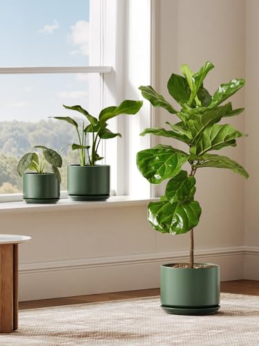 Ceramic Plant Pots (Forest Green / 8"+10")