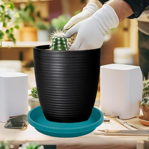 Plastic Plant Saucers 10 Inch Round Pack of 5 Heavy Duty Drip Trays for Indoor Outdoor Use (10" (5 Pack) / Forest Blue)