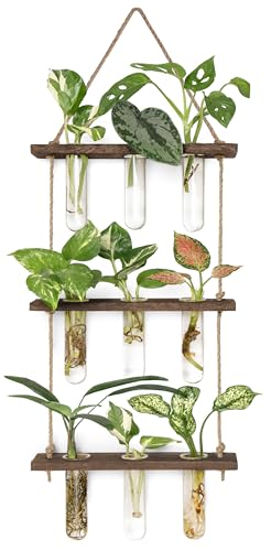 Plant Propagation Station (Small / Brown)